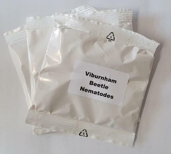 Viburnham Beetle Nematodes