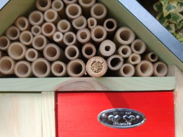 Beneficial Insect Hotel
