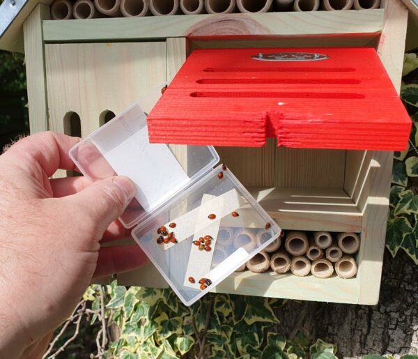 Beneficial Insect Hotel