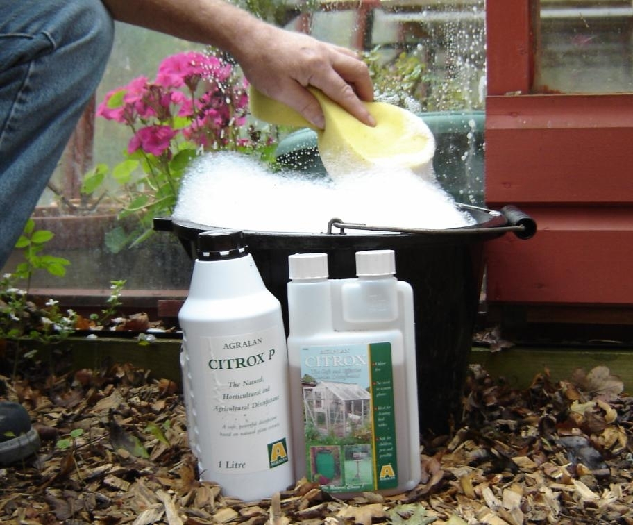 Citrox Disinfectant 1L Bottle Natural Disinfectant Green Gardener