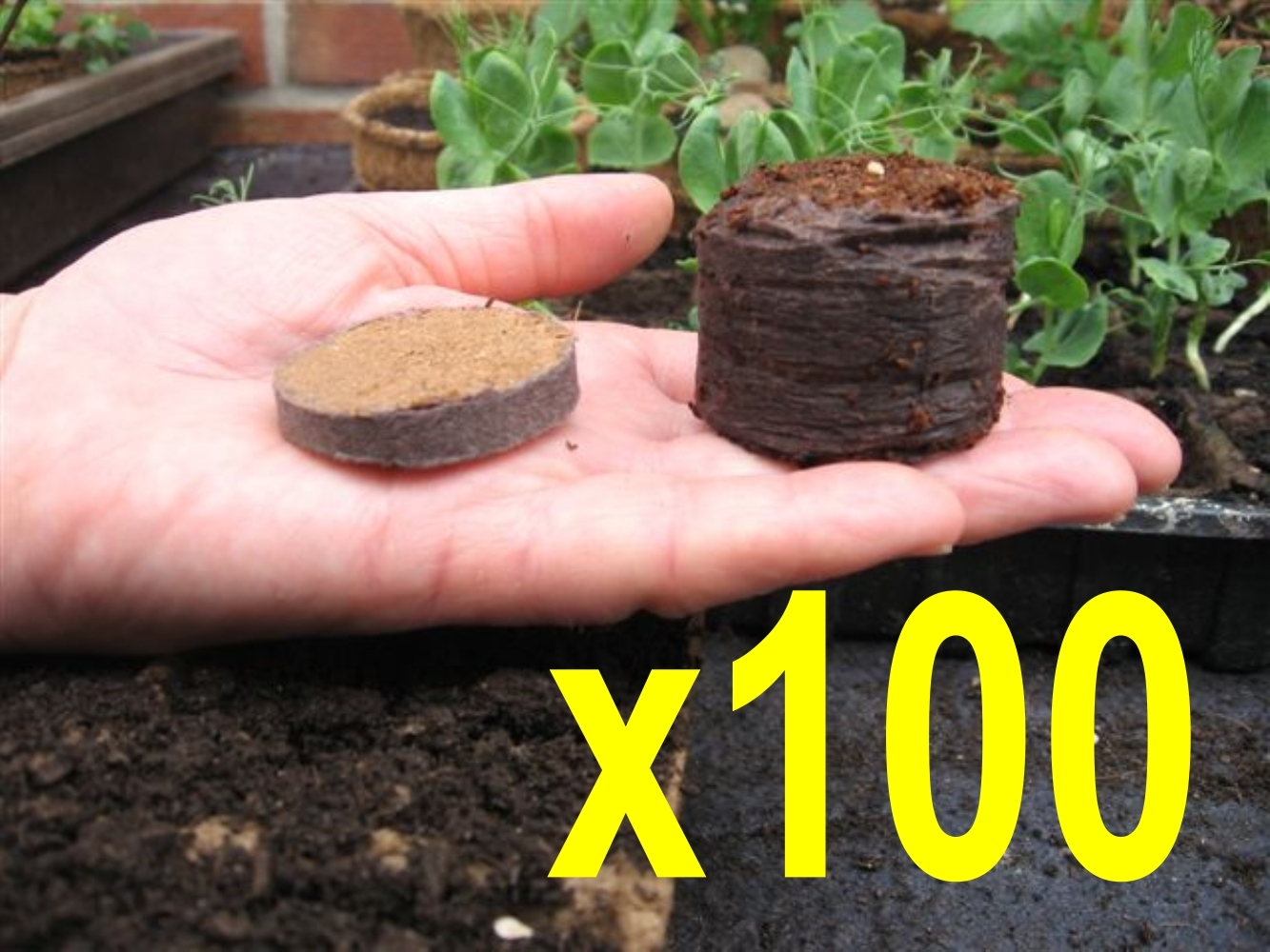 Coco Coir Seed Starter 100 Coir Pellets | Propagation Pots & Planters | Green Gardener