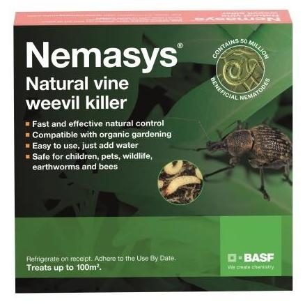 Nemasys Vine Weevil Killer The Natural, Organic Vine Weevil Control