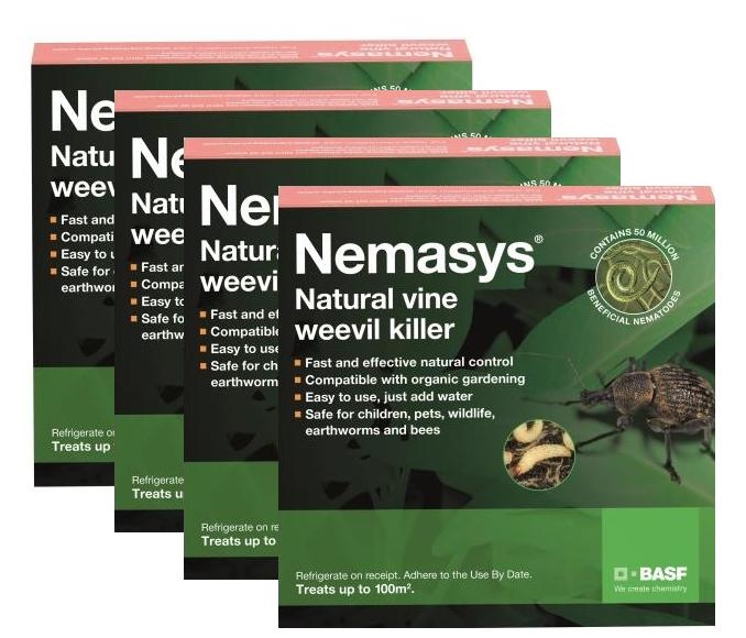 MightyNem® Vine weevil killer