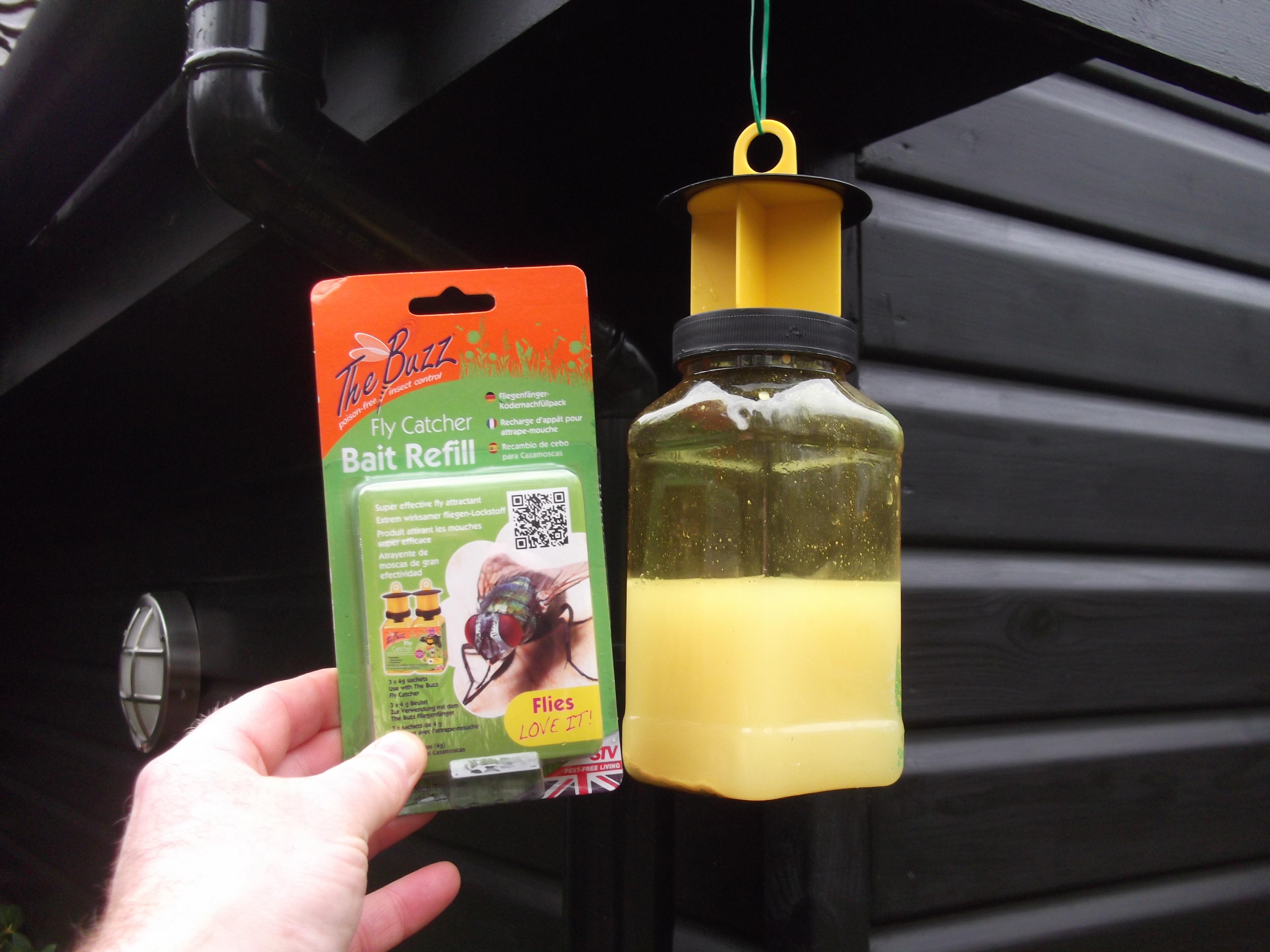 Hanging Fly Traps x2 - Green Gardener