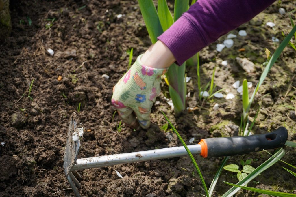 Garden Weeds - How Weed Killer Can Help