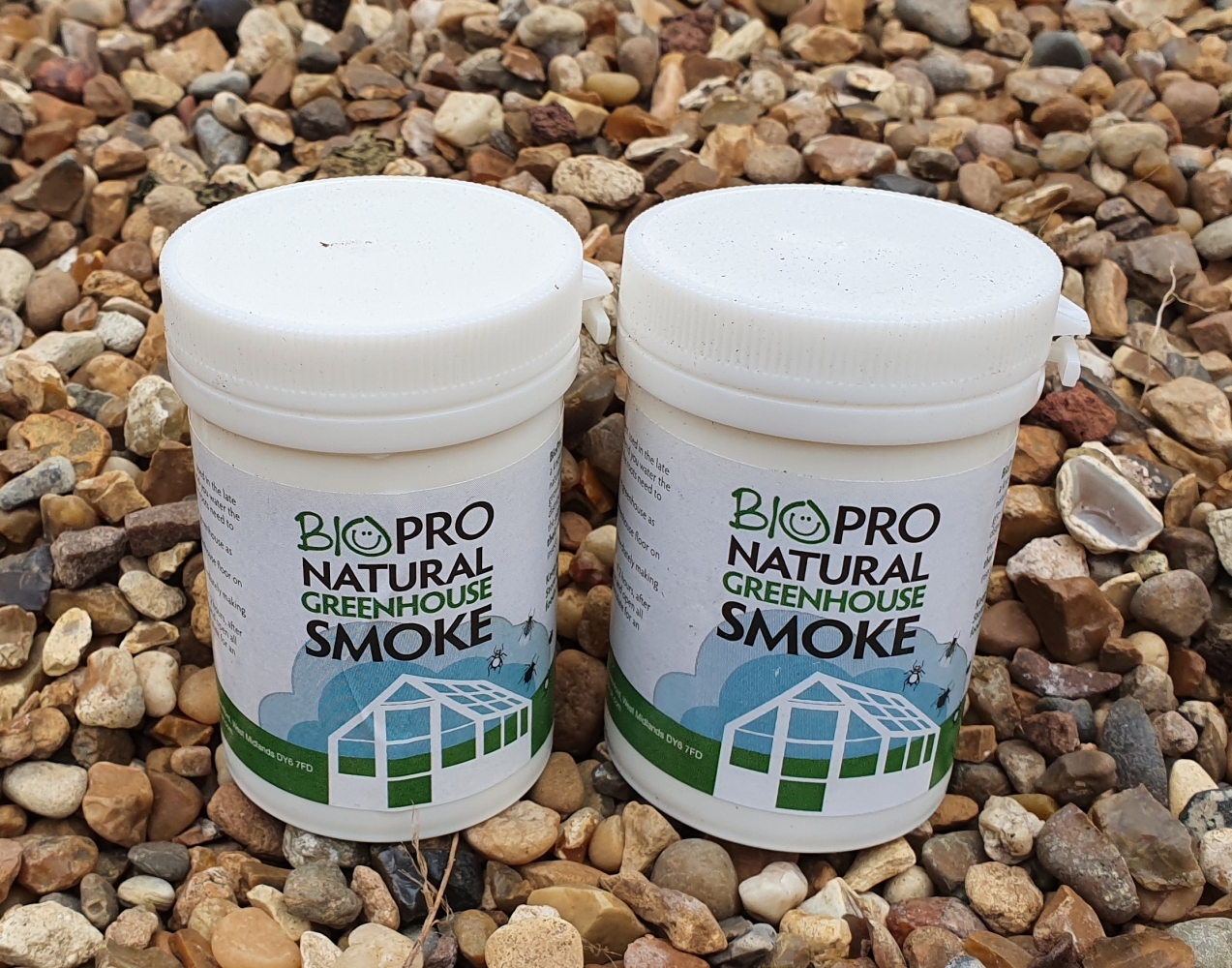 Garlic Greenhouse Candles Green Gardener