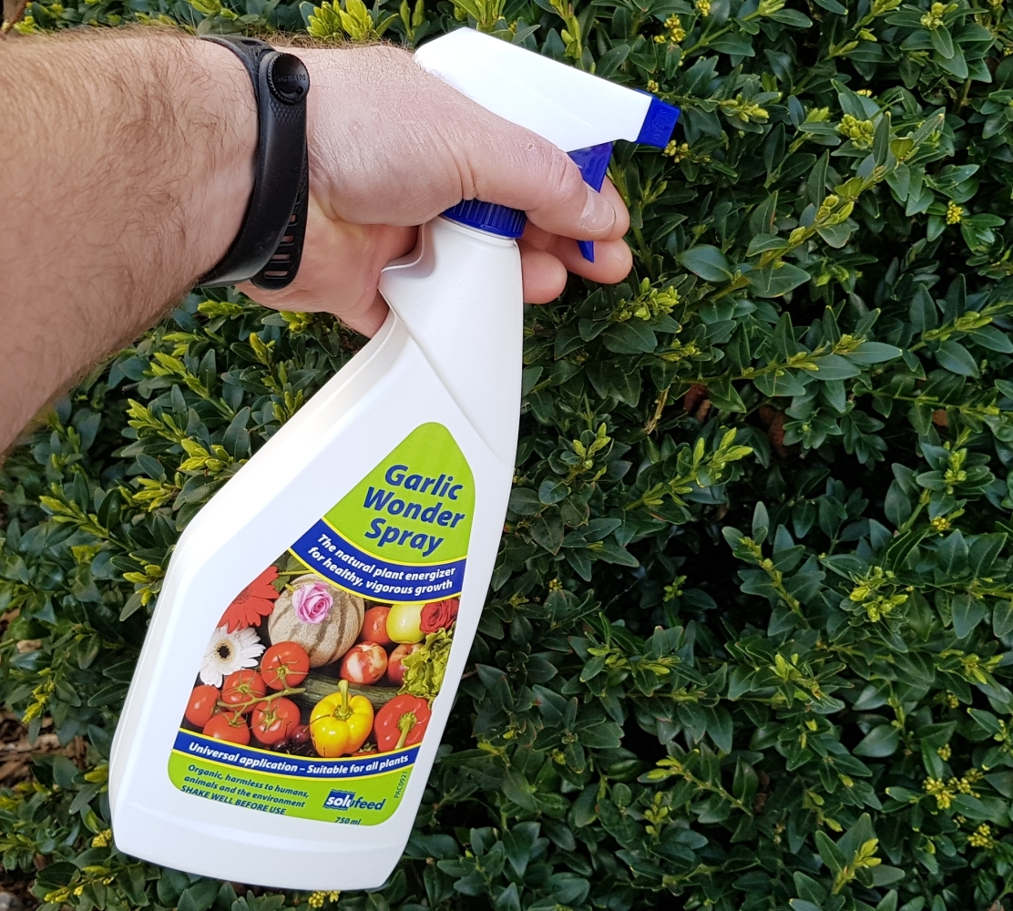 Garlic spray on sale for plants