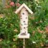 Ladybird Giftbox