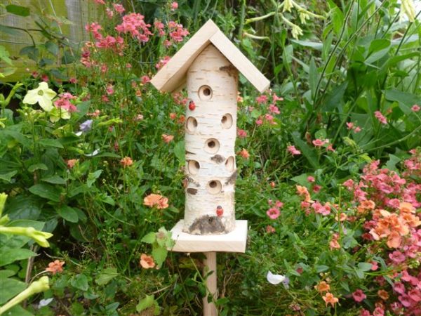 Ladybird Giftbox