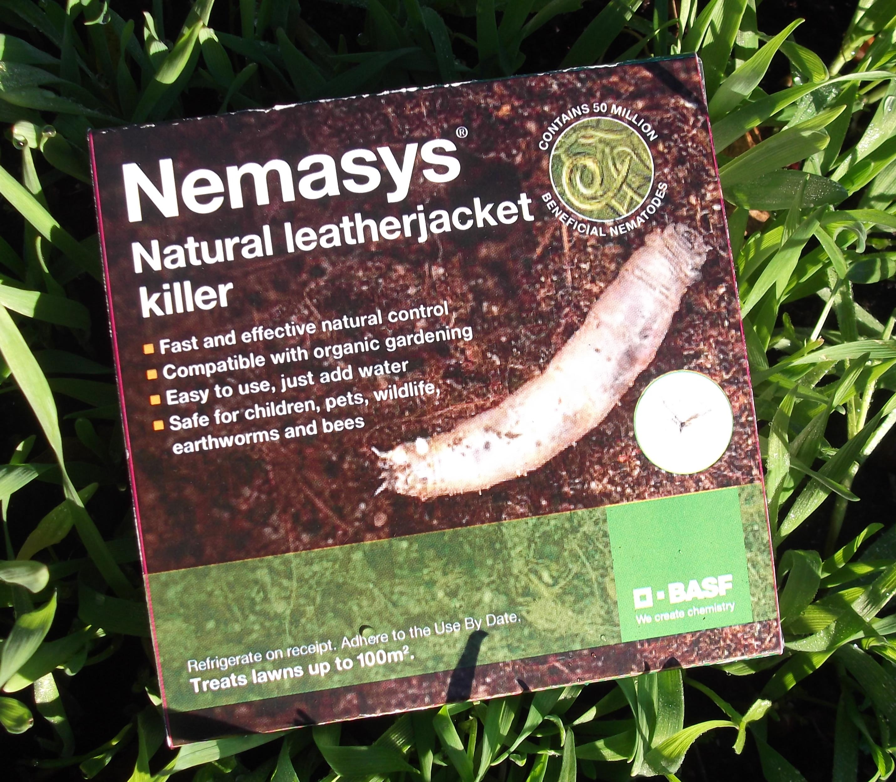 Leather sales jacket nematodes