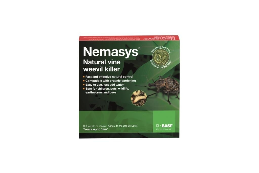 Nemasys Vine Weevil Killer The Natural, Organic Vine Weevil Control