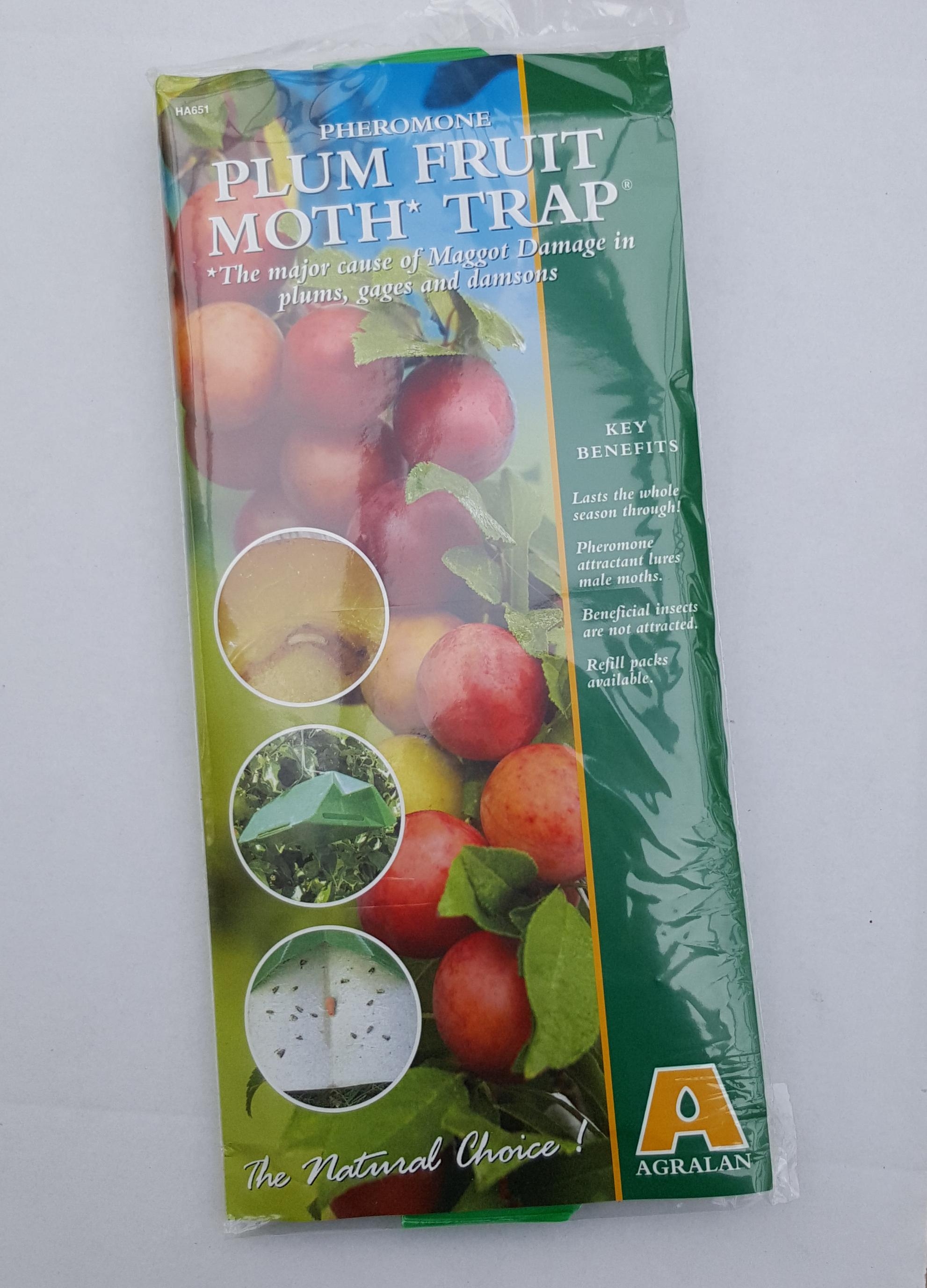 Plum Moth Trap Green Gardener