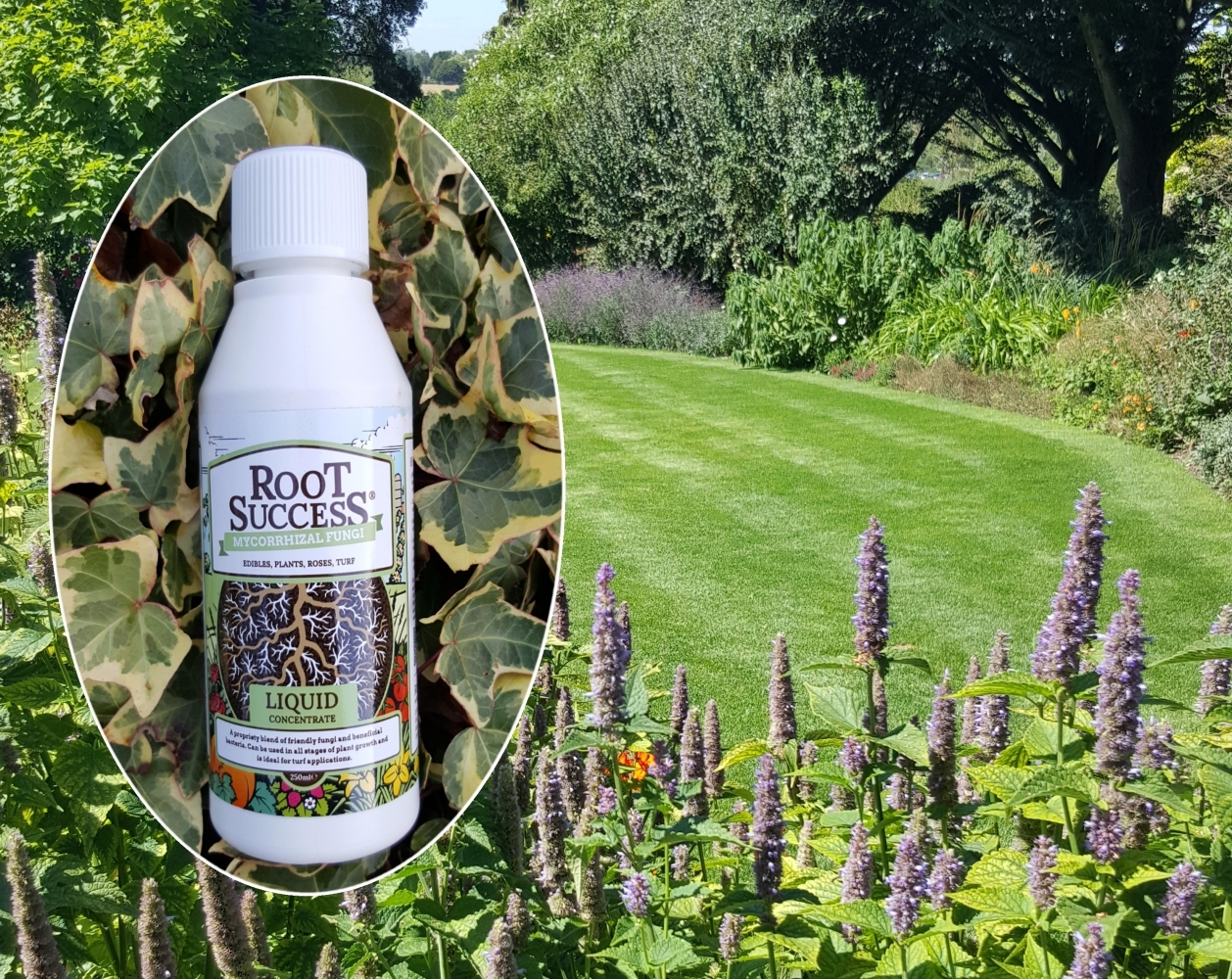Protect Your Garden with Mycostop Root Drench and Endomycorrhizae Innoculants