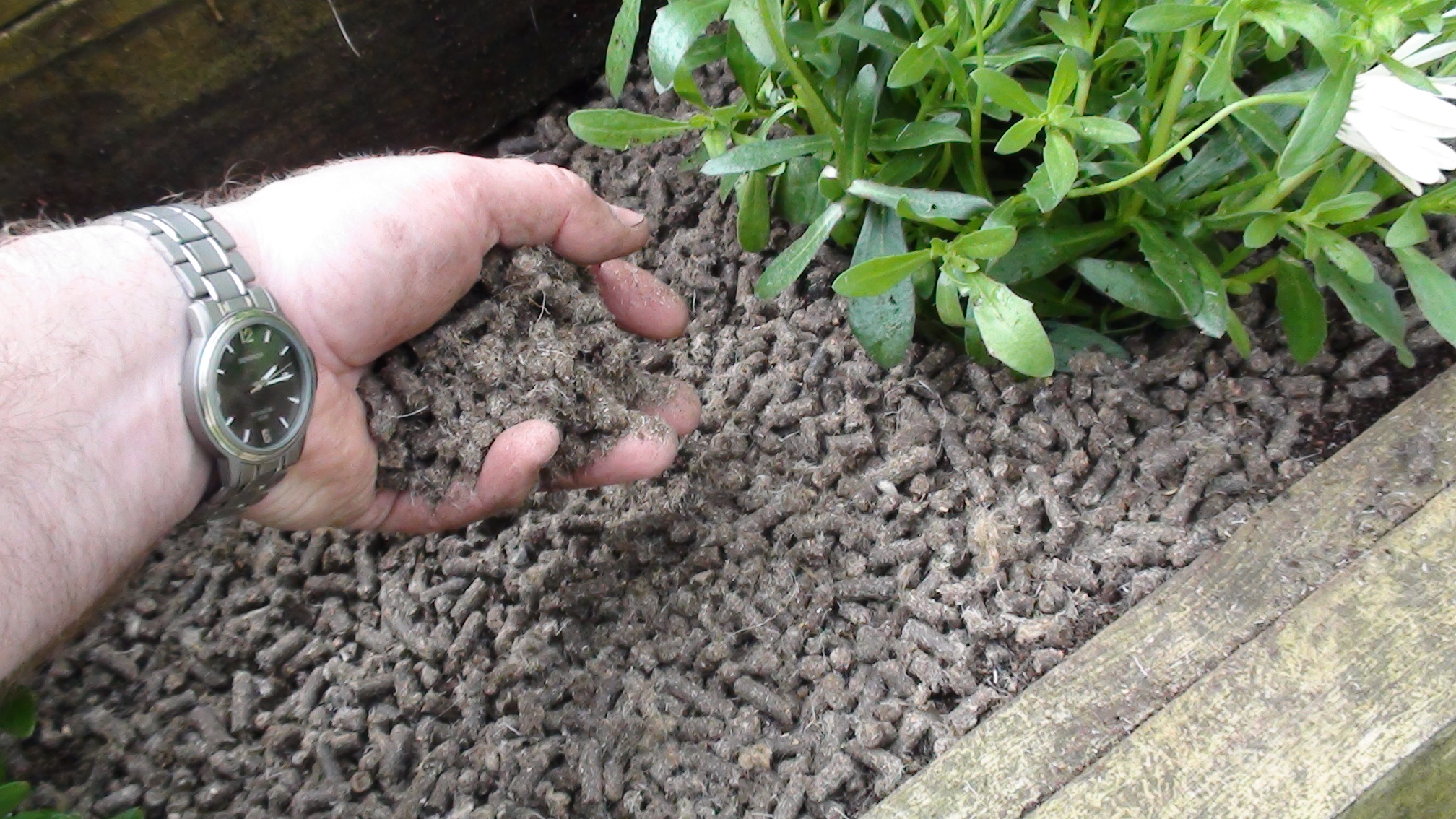 Mulch Borders NOW Green Gardener