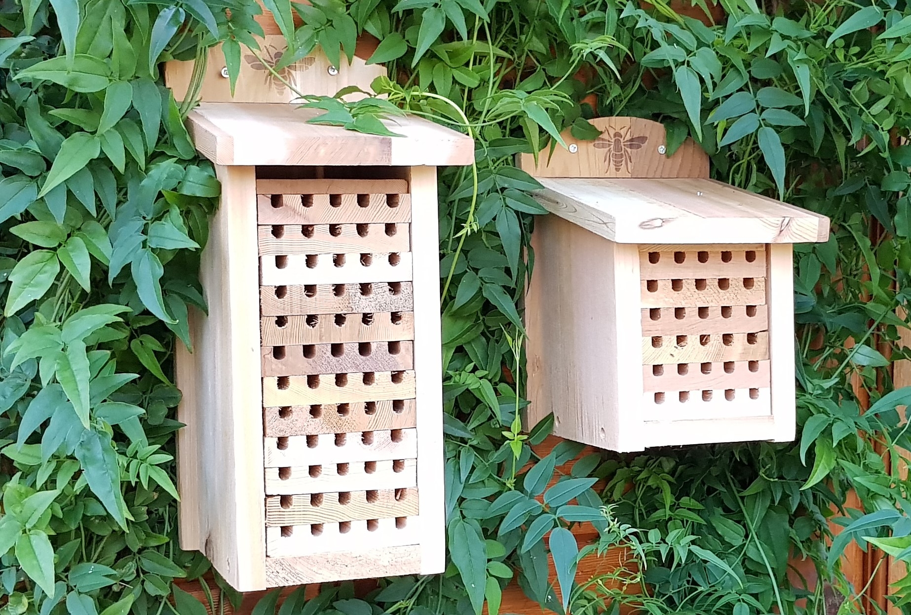 Solitary Bee House - 12 Tray