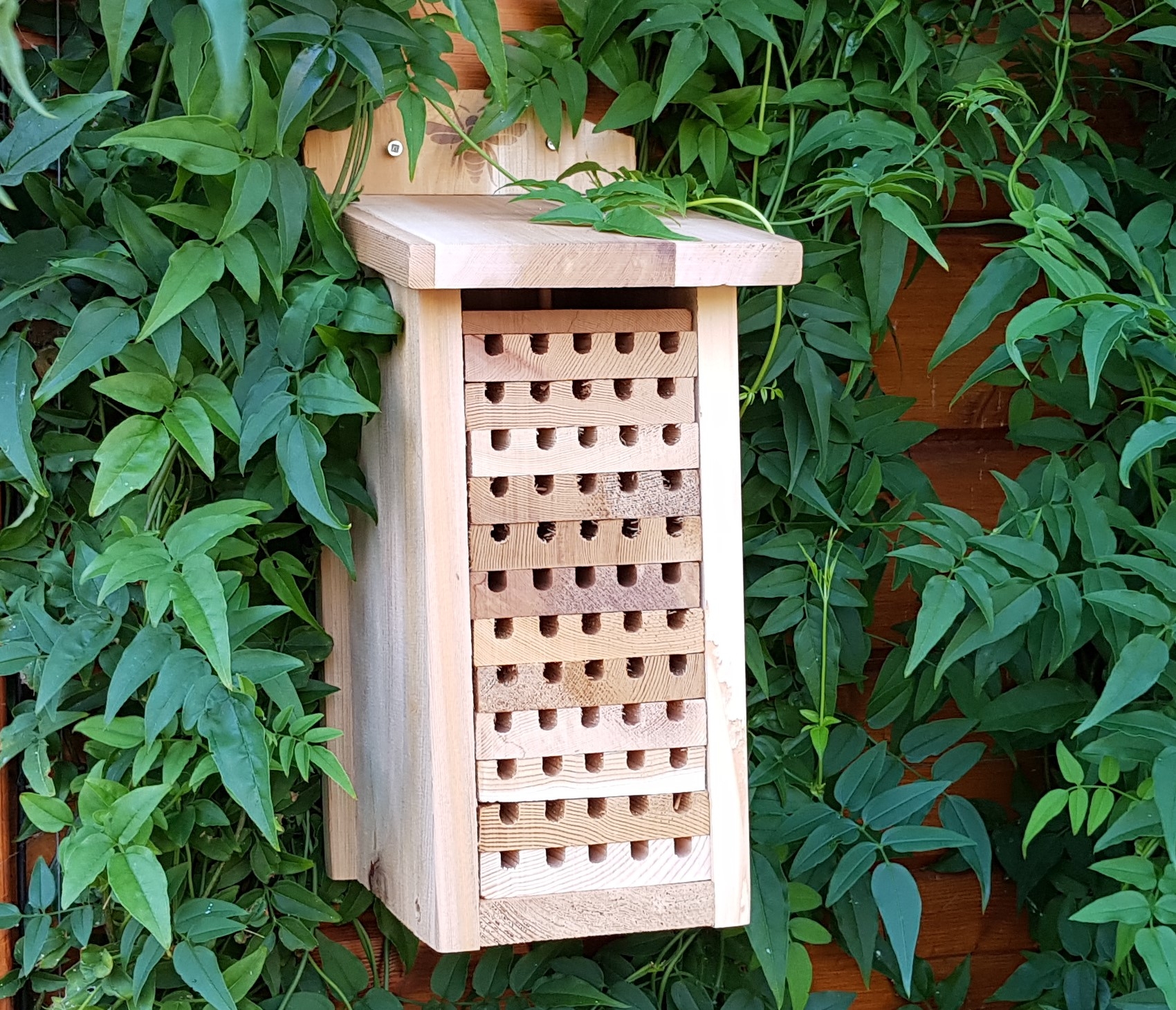 Solitary Bee House - 12 Tray