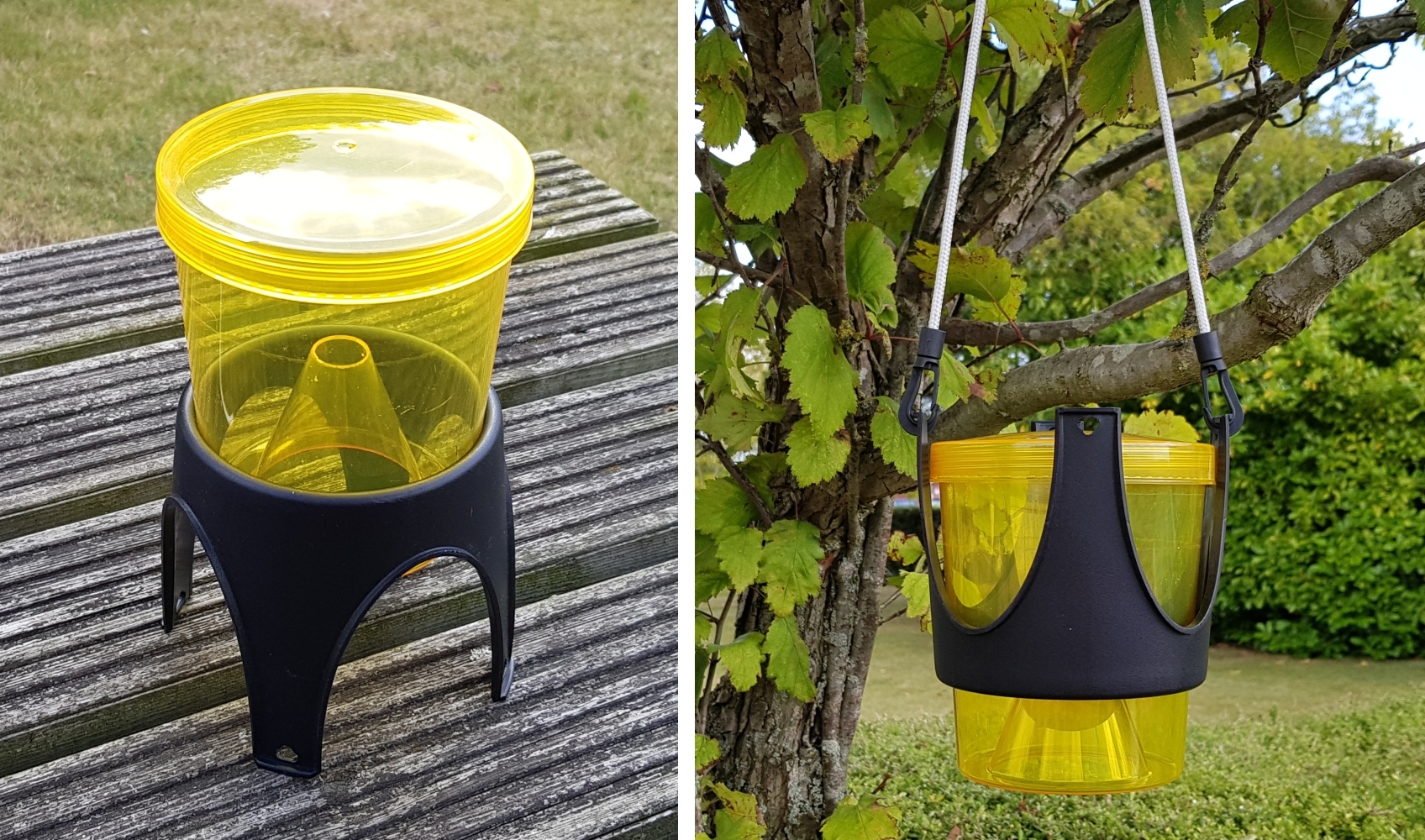 Hanging/Freestanding Wasp Trap Wasps & Fly Control Green Gardener