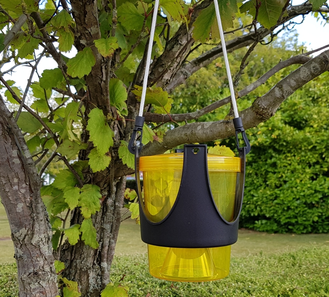 Hanging/Freestanding Wasp Trap Wasps & Fly Control Green Gardener