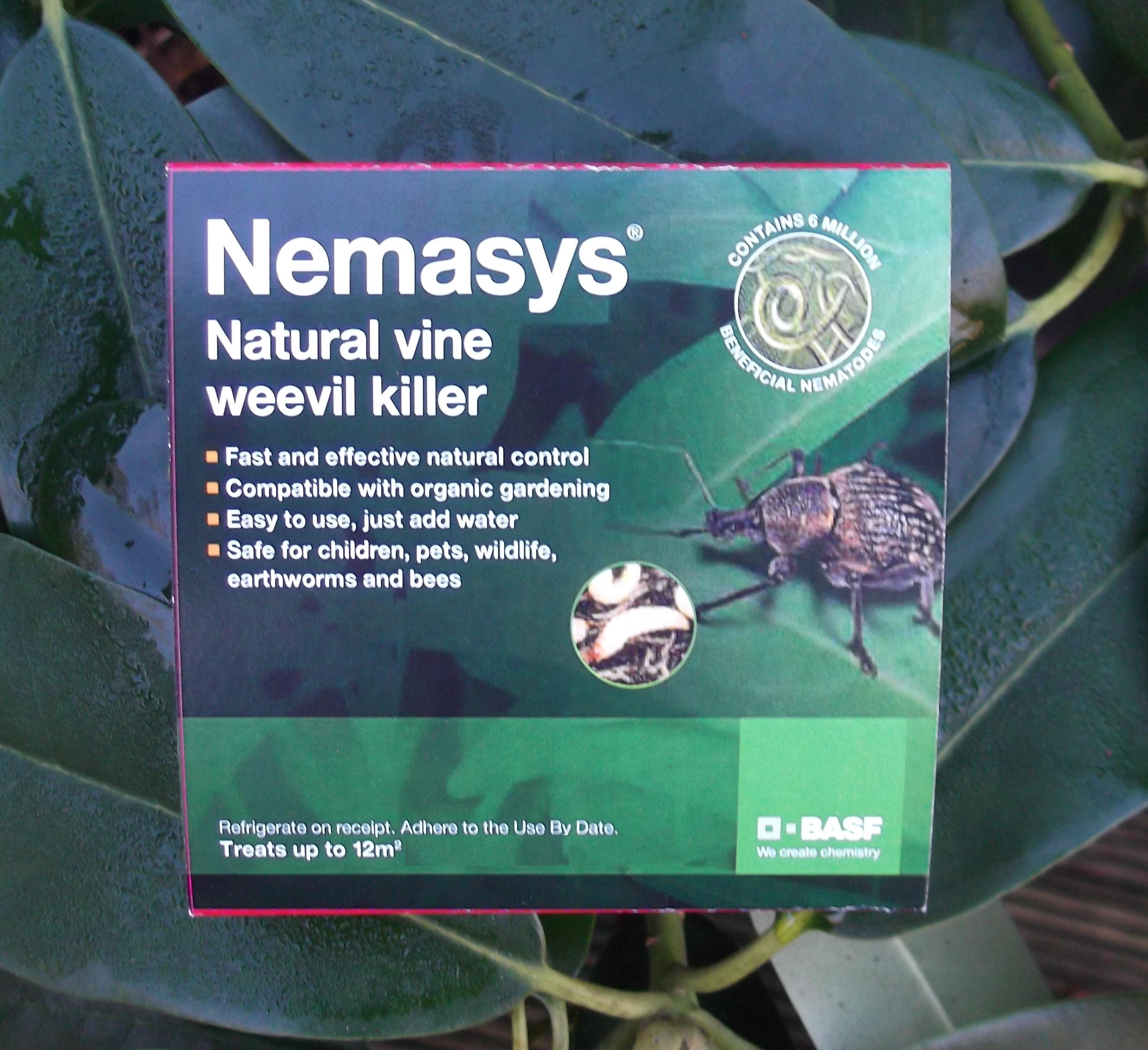 Nemasys Vine Weevil Killer Large Instructions