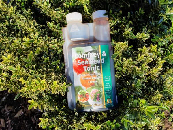 Comfrey and Seaweed Tonic