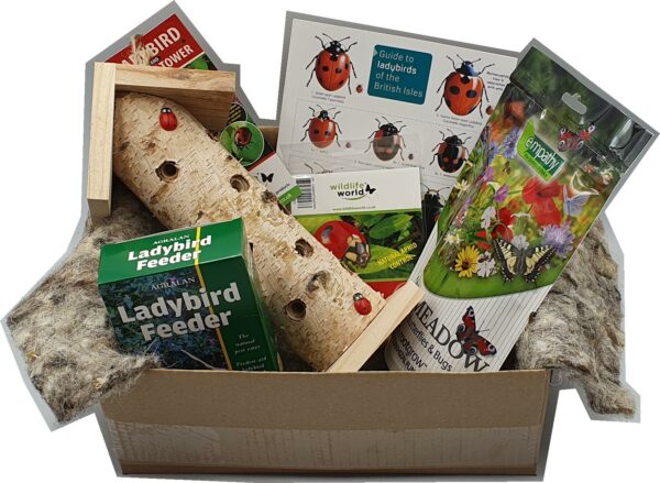 Deluxe Ladybird Giftbox
