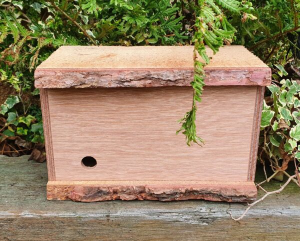 Bumble Bee Nest Box