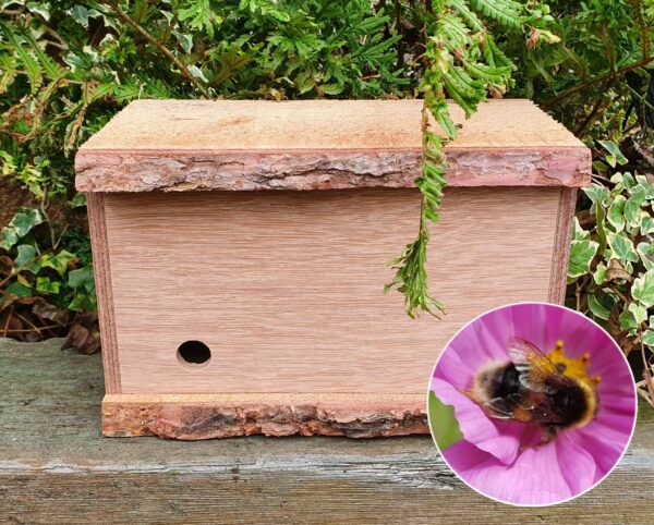 Bumble Bee Nest Box