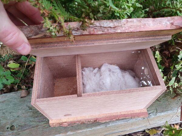 Bumble Bee Nest Box