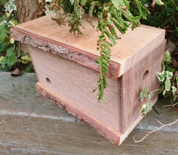 Bumble Bee Nest Box