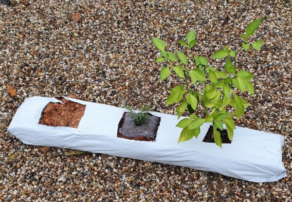Bulk Pack fo Coir Grow Bags x10