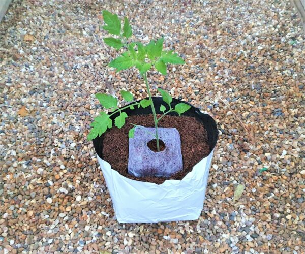 Coir Planter Bags x3