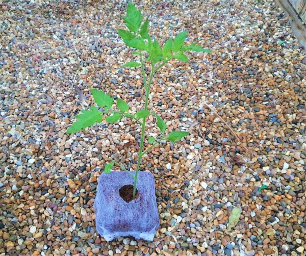 Coir Planter Bags x3