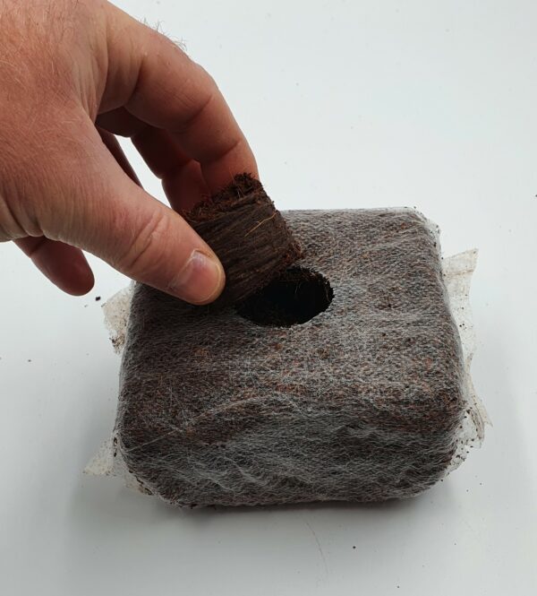 Coir Grow Cubes x10