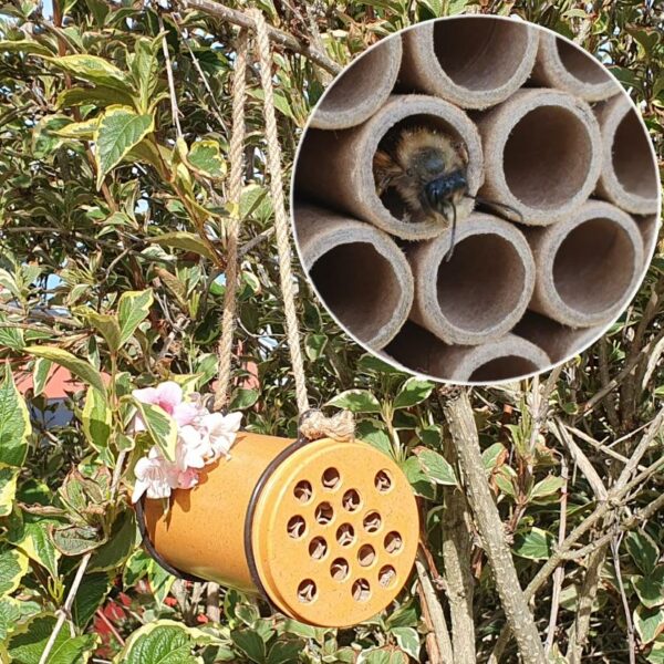Solitary Bee Nester