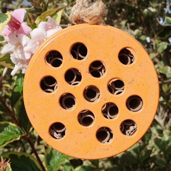 Solitary Bee Nester