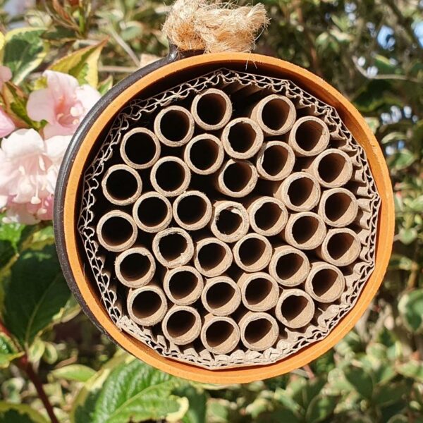 Solitary Bee Nester