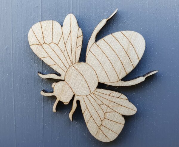 Solitary Bee Viewing House
