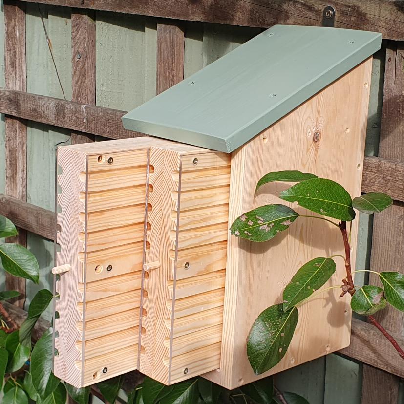 Solitary Bee Viewing House