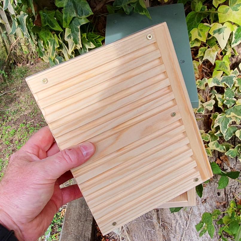 Solitary Bee Viewing House