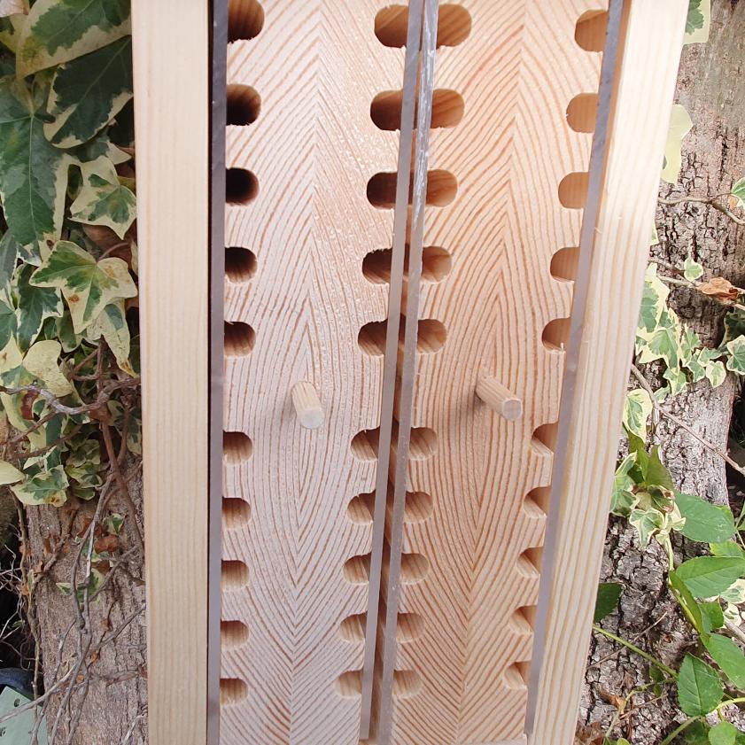 Solitary Bee Viewing House