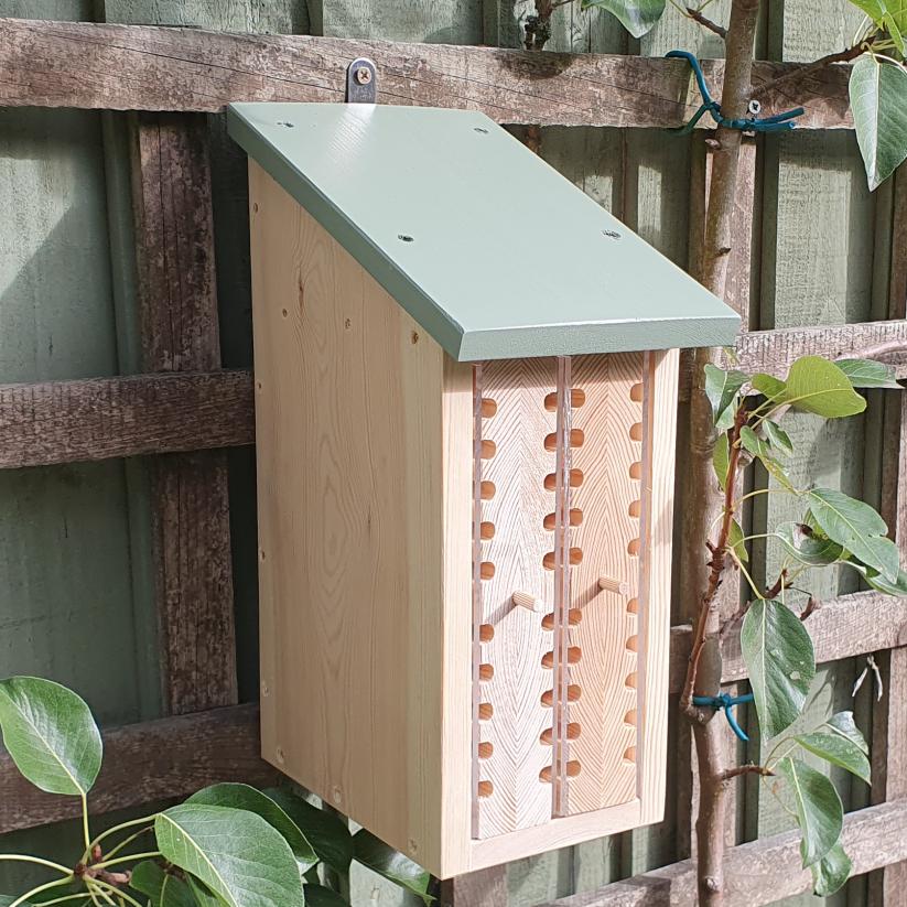 Solitary Bee Viewing House