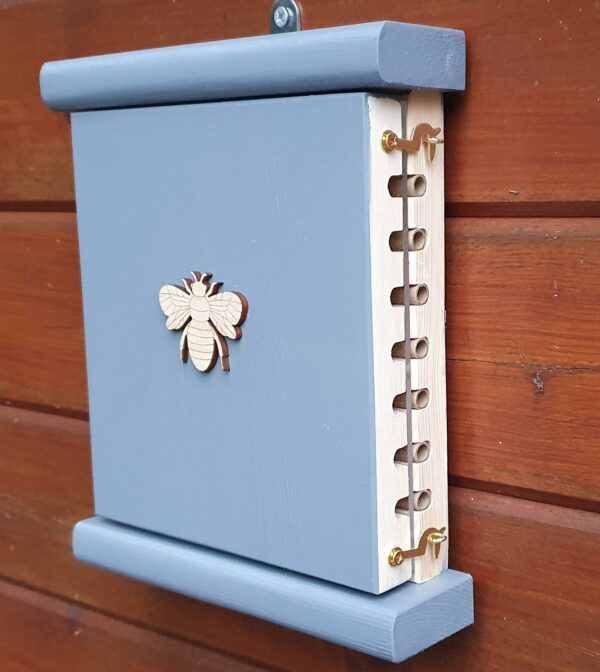 Solitary Bee Viewing House