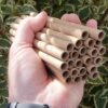 Solitary Bee Nesting Tubes
