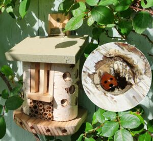 Ladybird House