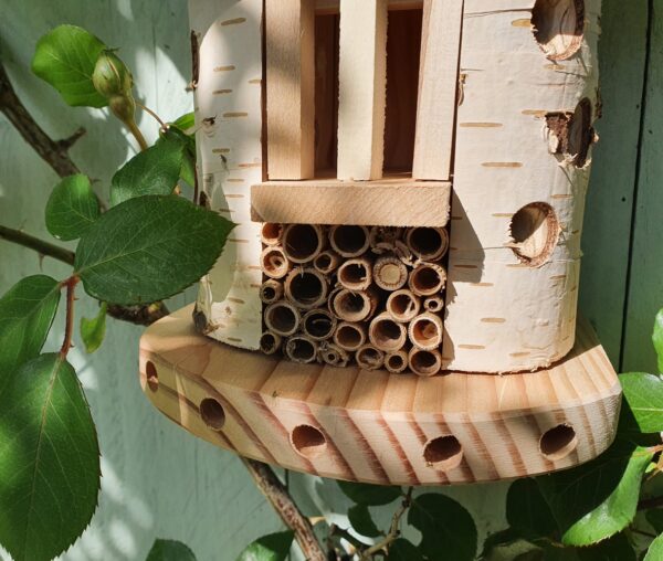 Ladybird Barn