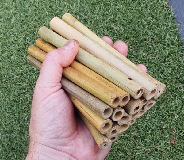 Cane Solitary Bee Nesting Tubes