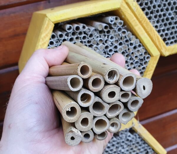 Cane Solitary Bee Nesting Tubes