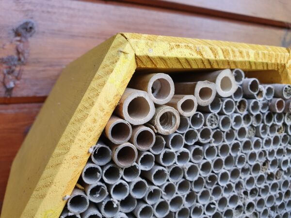 Cane Solitary Bee Nesting Tubes