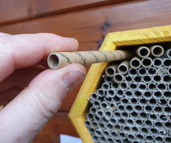 Solitary Bee Nesting Tubes