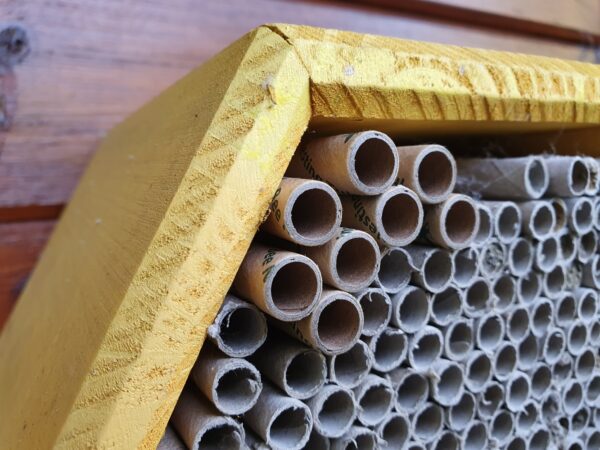 Solitary Bee Nesting Tubes